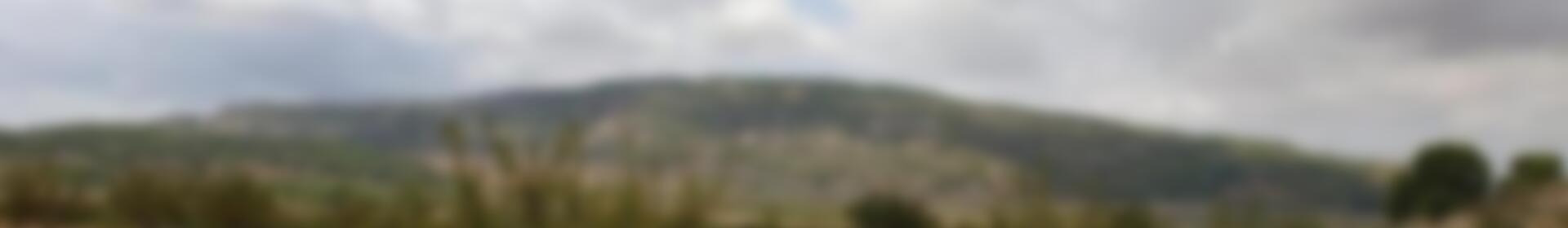 Terrenos en venta