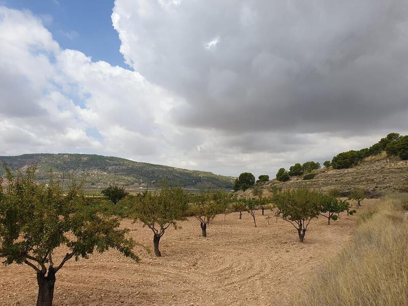 Terrenos en venta