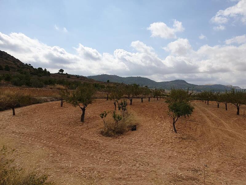 Terrenos en venta