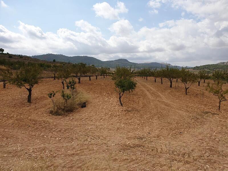 Terrenos en venta