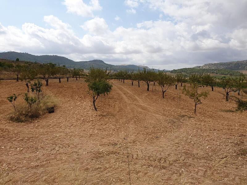 Terrenos en venta