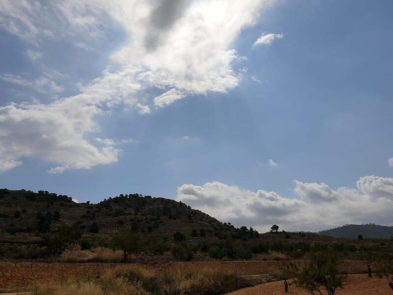 Terrenos en venta