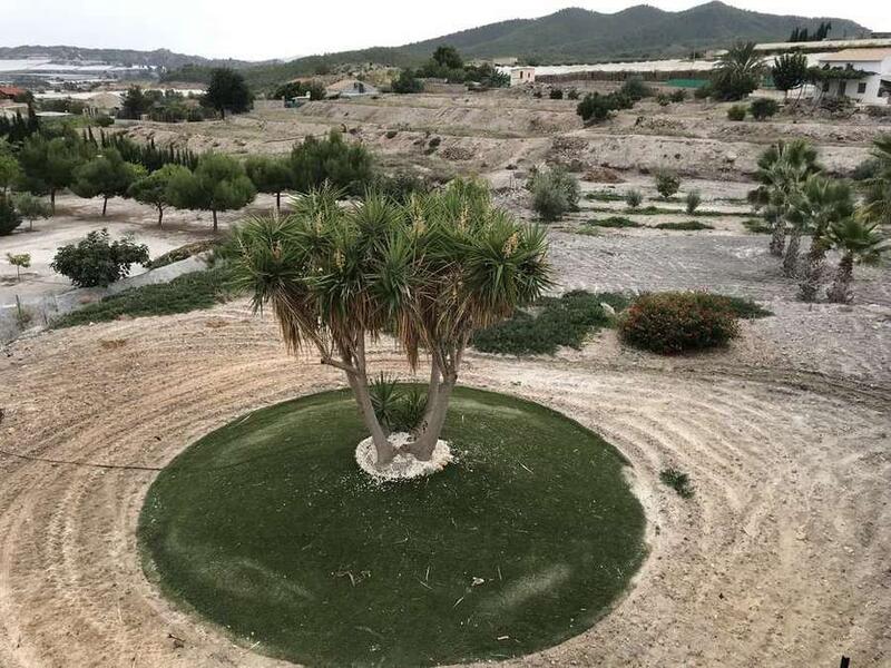 5 Cuarto Casa de Campo en venta