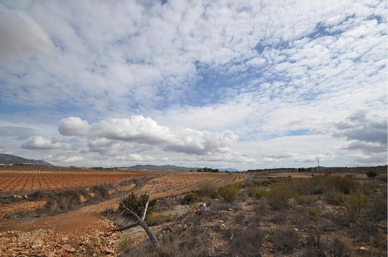 Land for sale in Pinoso, Alicante