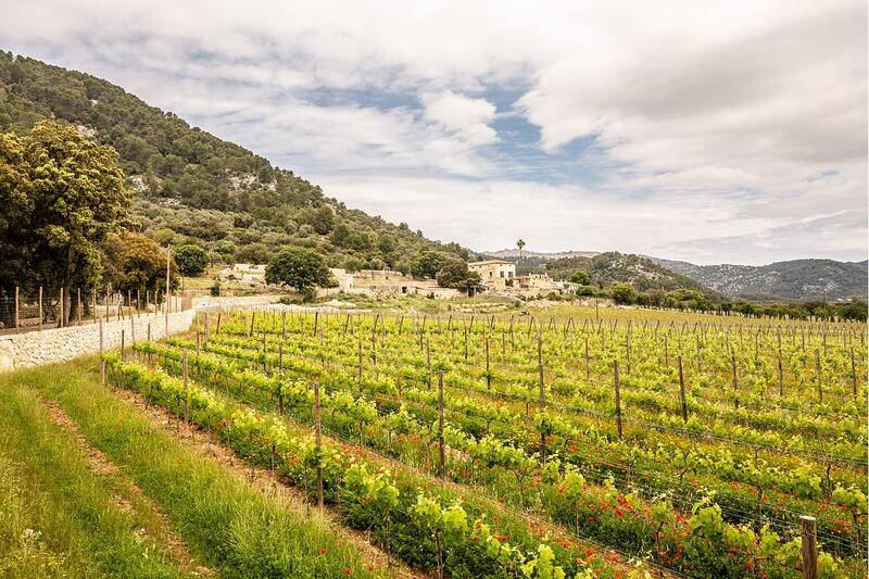 Herregård til salgs i Campanet, Mallorca