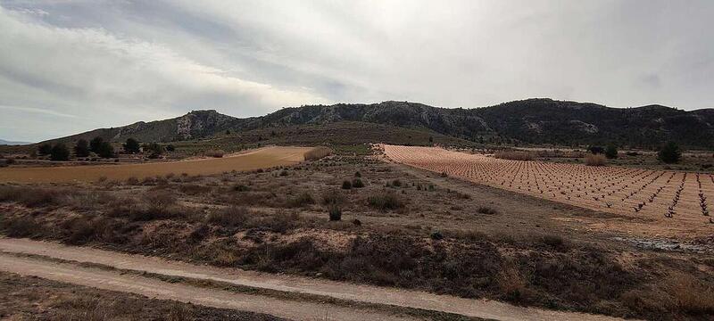 Land til salgs i Villena, Alicante