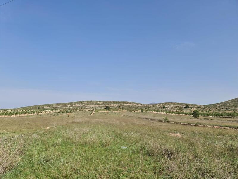 Land Te koop in Jumilla, Murcia