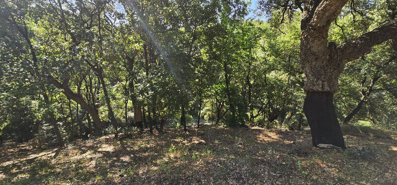 Terrenos en venta