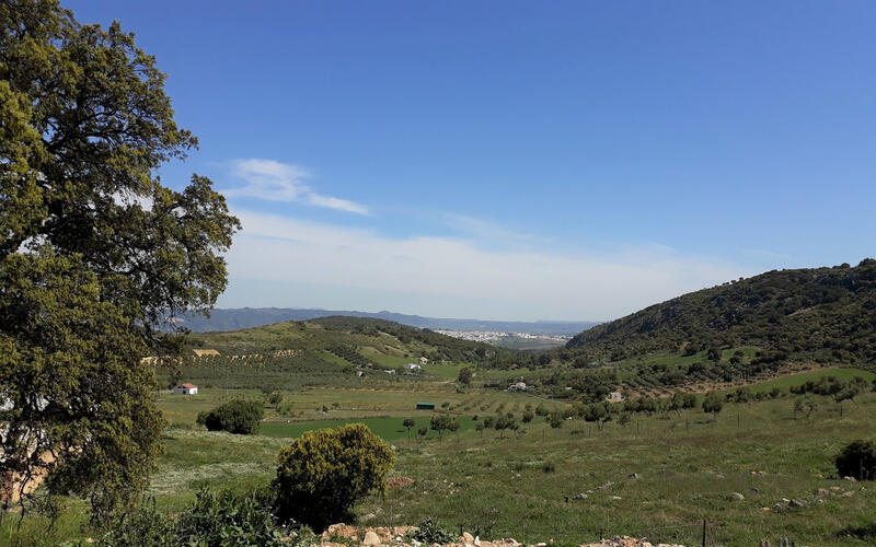 Forretningseiendom til salgs i Ronda, Málaga
