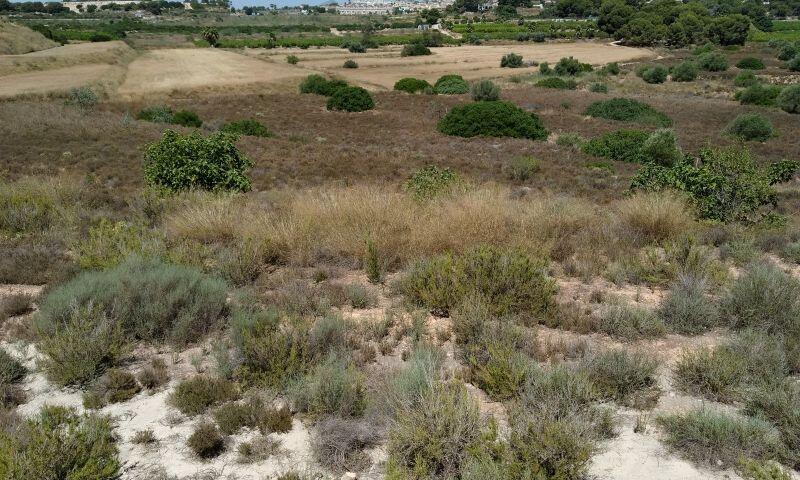 Land for sale