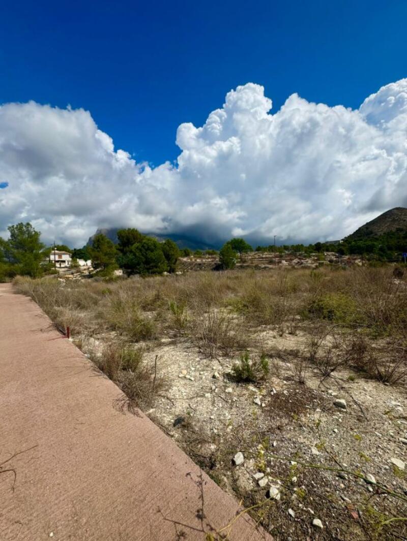 Land for sale