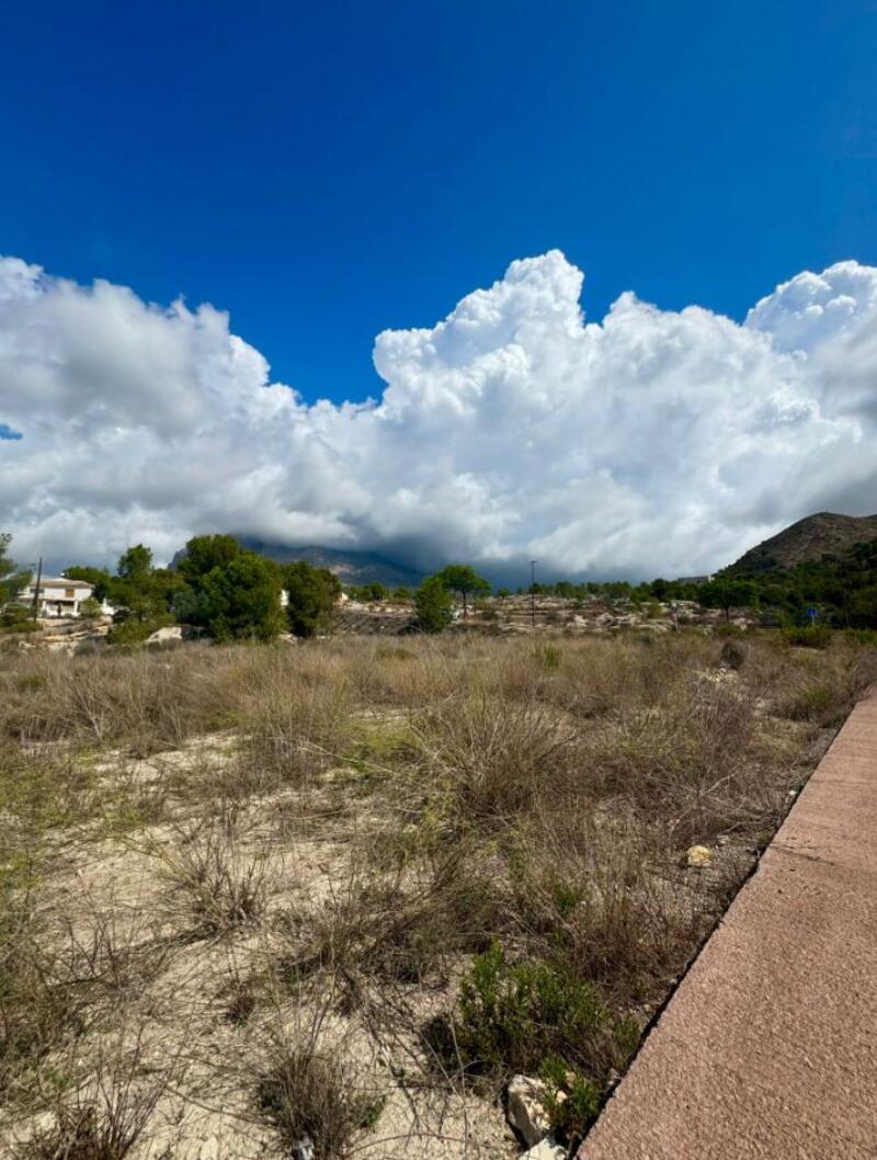 Land for sale