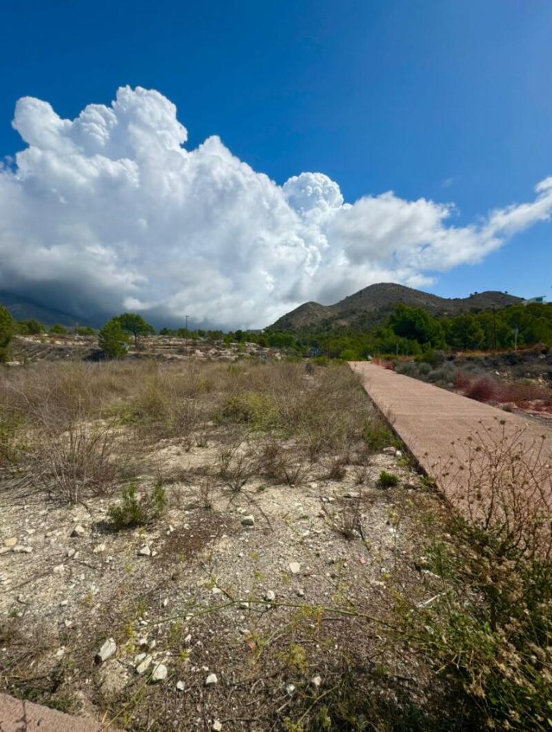 Land for sale