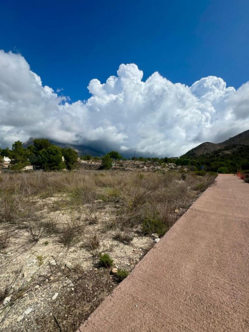 Land for sale