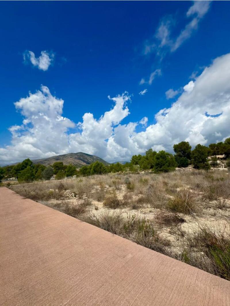 Land for sale