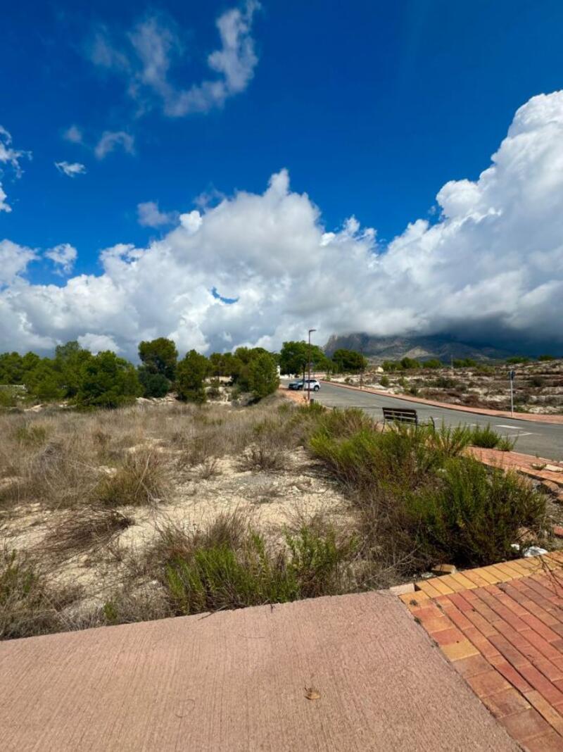 Land for sale