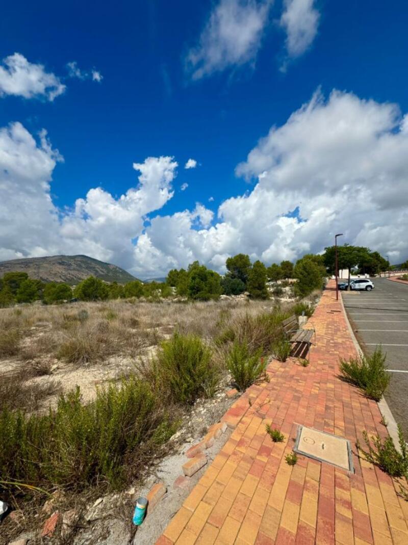 Land for sale