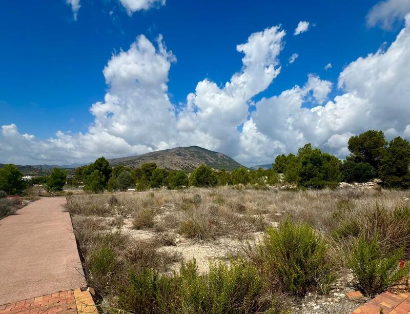 Land for sale