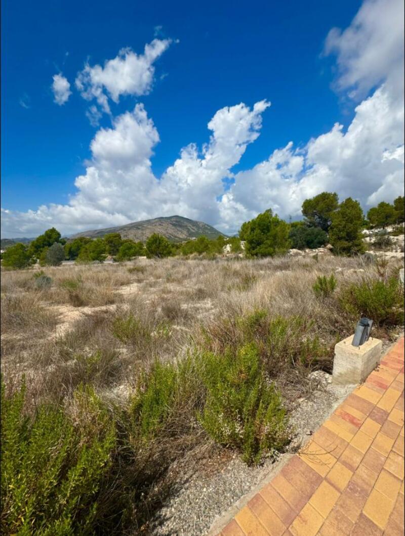 Land for sale