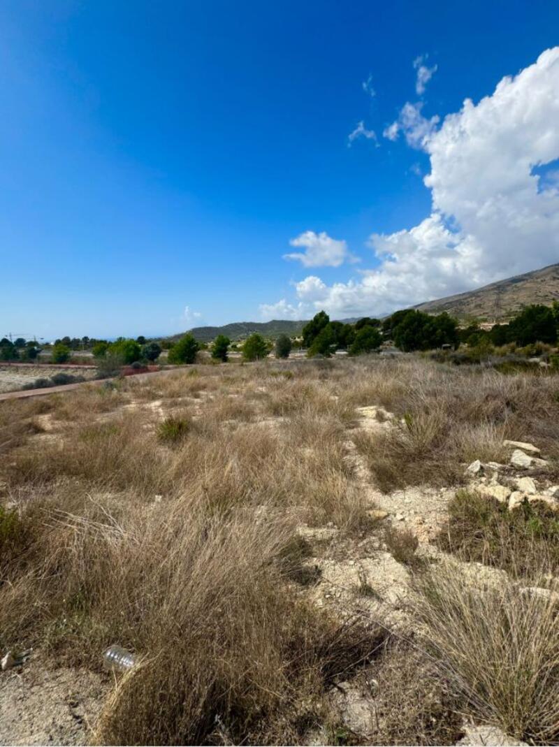 Land for sale