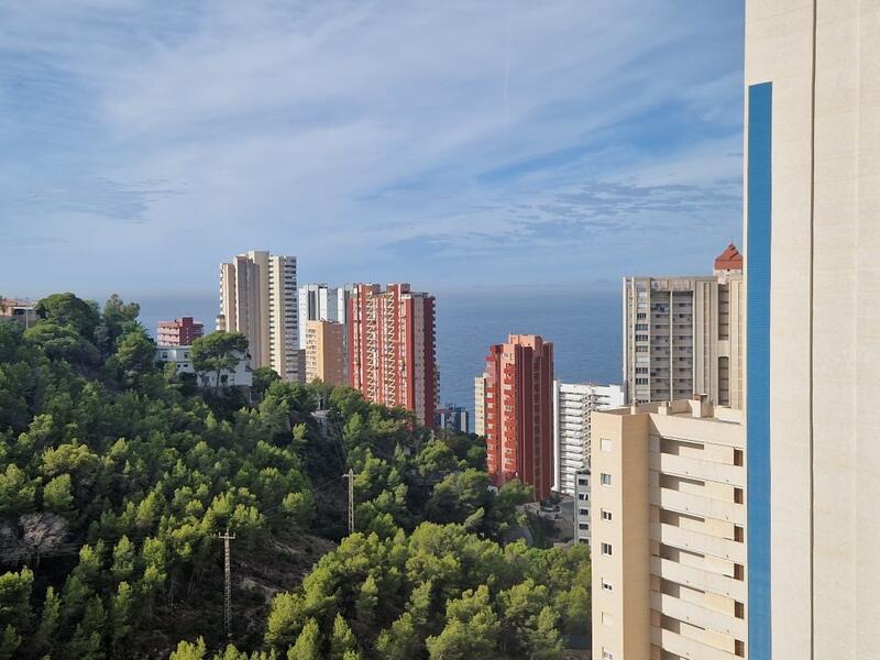 1 bedroom Apartment for sale