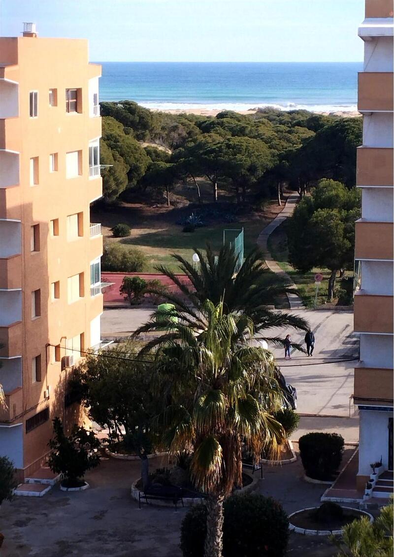 квартира продается в Guardamar del Segura, Alicante