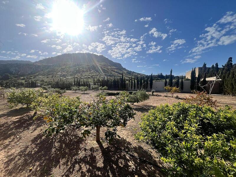 4 Cuarto Villa en venta