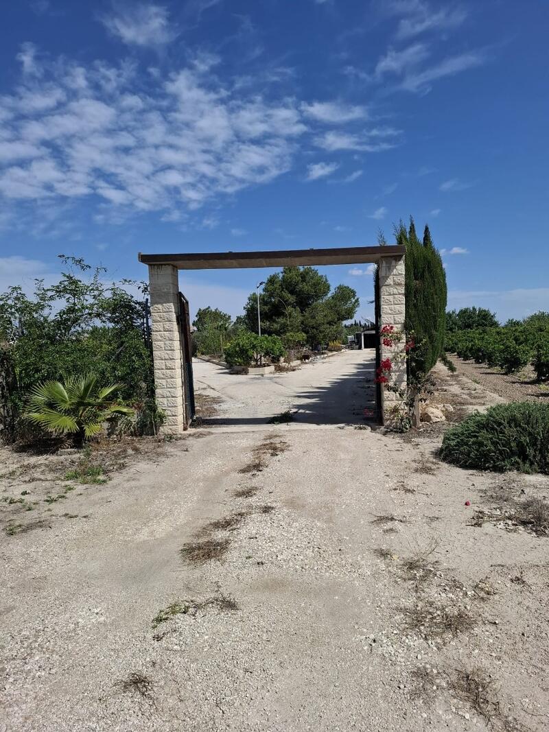 Casa de Campo en venta en Guardamar del Segura, Alicante