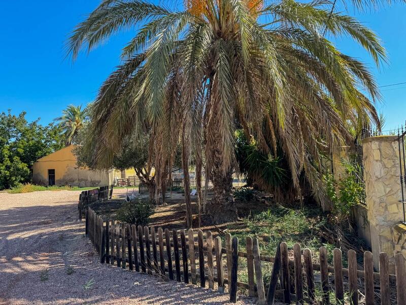 Villa till salu i Crevillente, Alicante