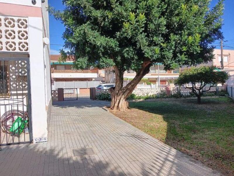 3 chambre Villa à vendre
