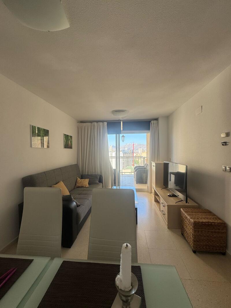 Lejlighed til salg i Benidorm, Alicante