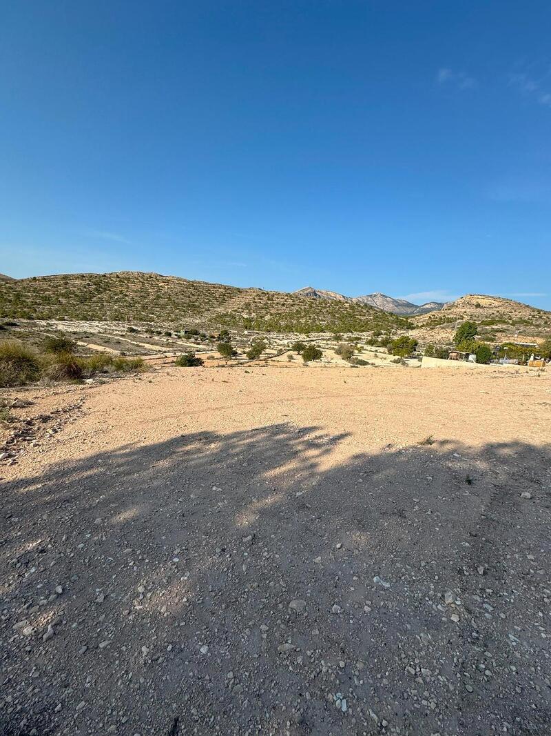 3 chambre Terrain à vendre