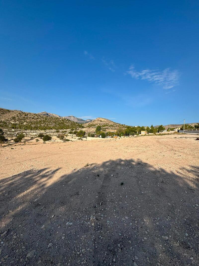 3 chambre Terrain à vendre