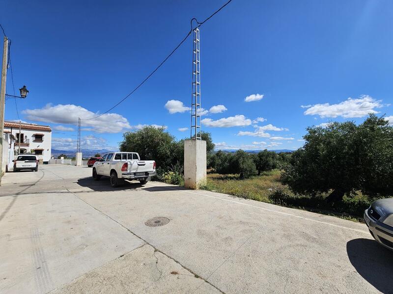 Terrenos en venta