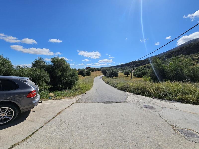 Terrenos en venta