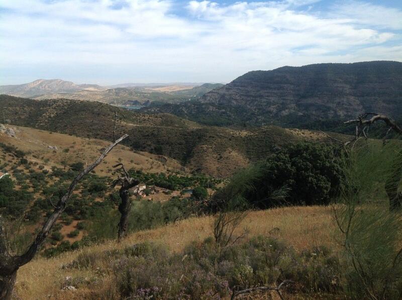 Land til salgs i Ardales, Málaga