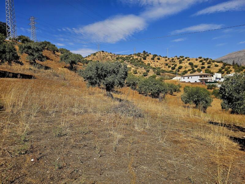 3 bedroom Country House for sale