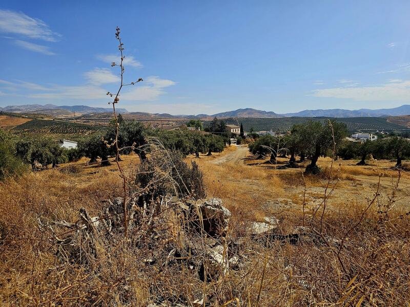 3 bedroom Country House for sale
