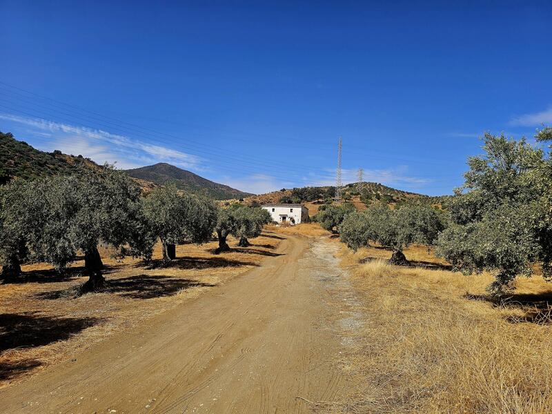 3 bedroom Country House for sale