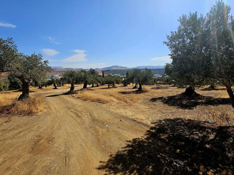 3 bedroom Country House for sale