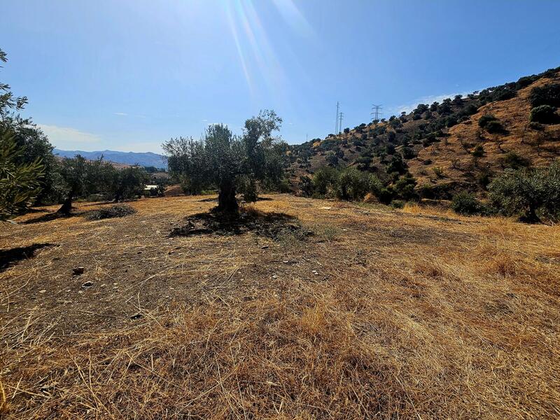 3 bedroom Country House for sale