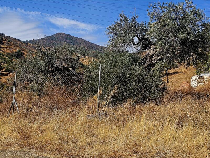3 bedroom Country House for sale