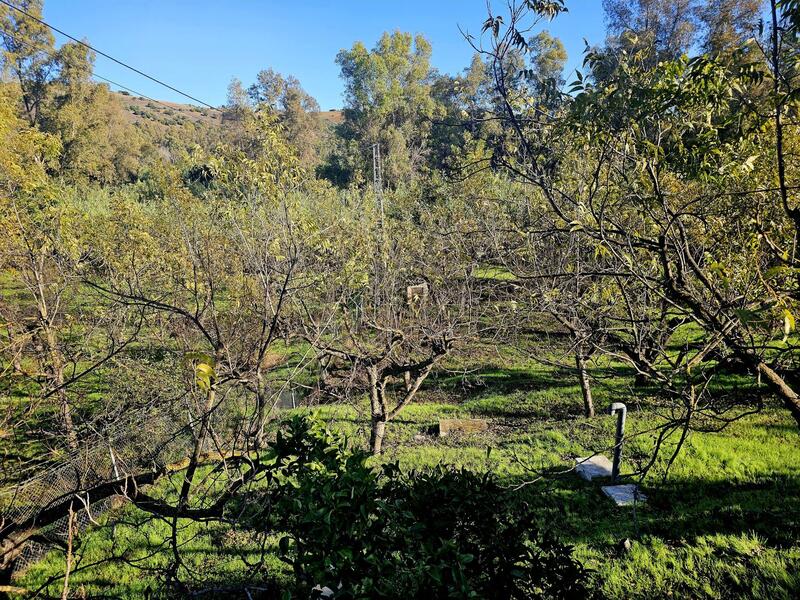 2 bedroom Country House for sale 2 bedroom Country House for sale