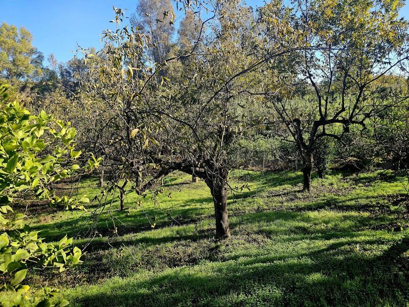 2 bedroom Country House for sale 2 bedroom Country House for sale