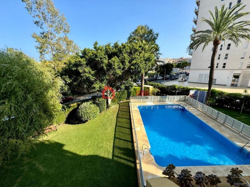 3 bedroom Apartment for Long Term Rent