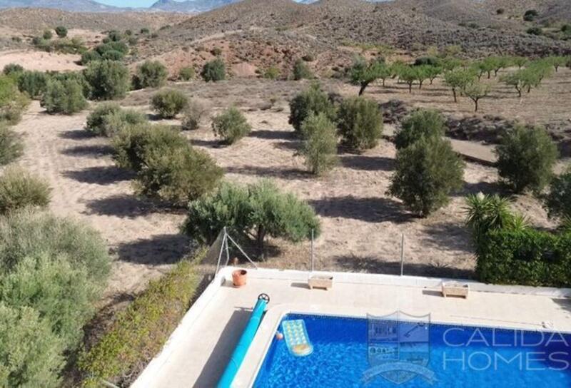 5 Cuarto Casa de Campo en venta