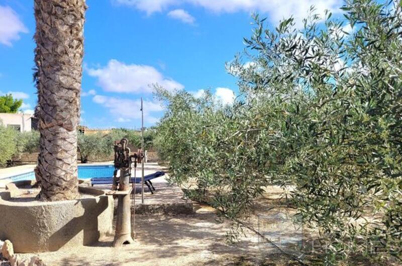 3 Cuarto Villa en venta