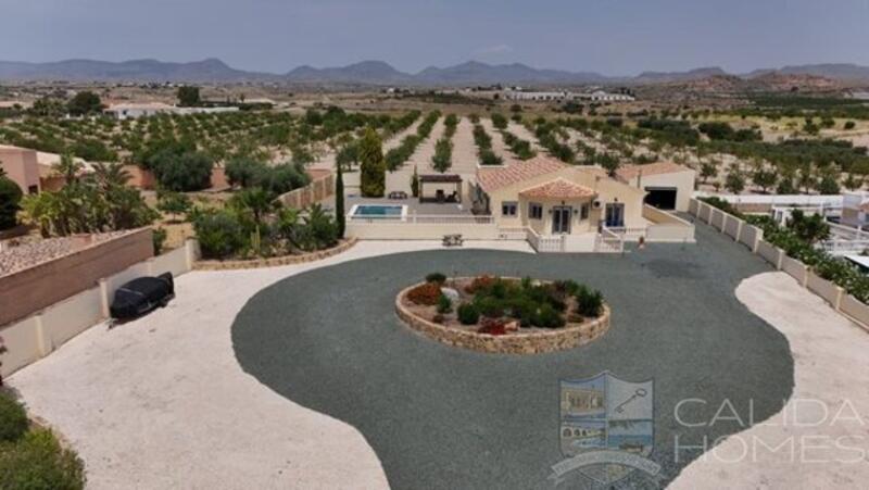 Villa for sale in Albox, Almería