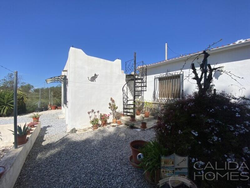 3 Cuarto Villa en venta