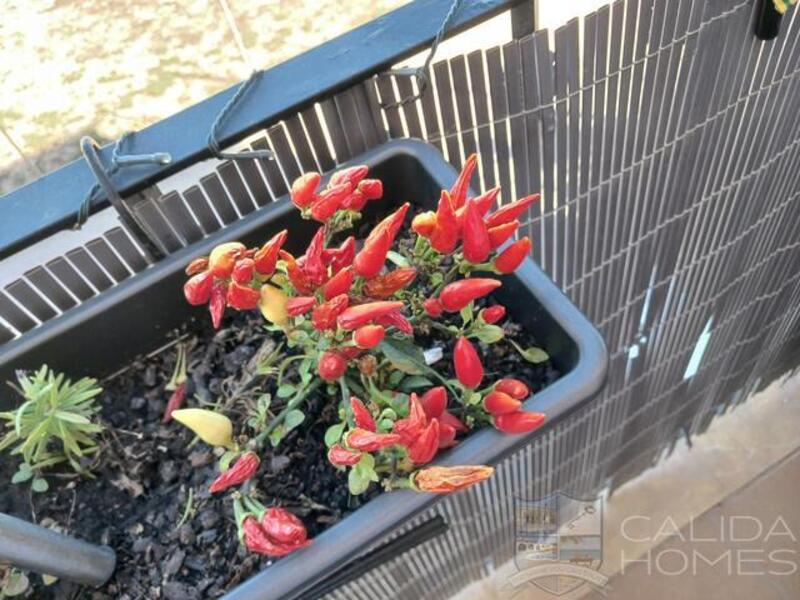 2 soverom Leilighet til salgs 2 soverom Leilighet til salgs